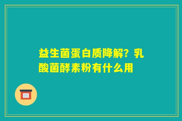 益生菌蛋白质降解？乳酸菌酵素粉有什么用