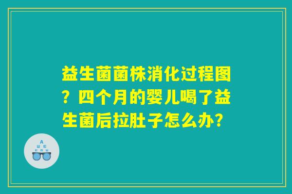 益生菌菌株消化过程图？四个月的婴儿喝了益生菌后拉肚子怎么办？