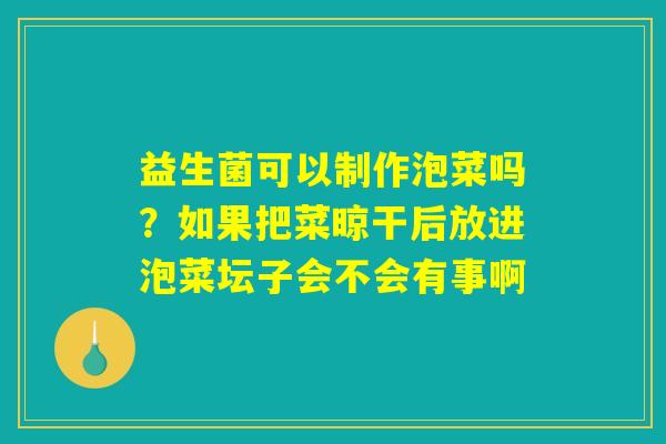益生菌可以制作泡菜吗？如果把菜晾干后放进泡菜坛子会不会有事啊