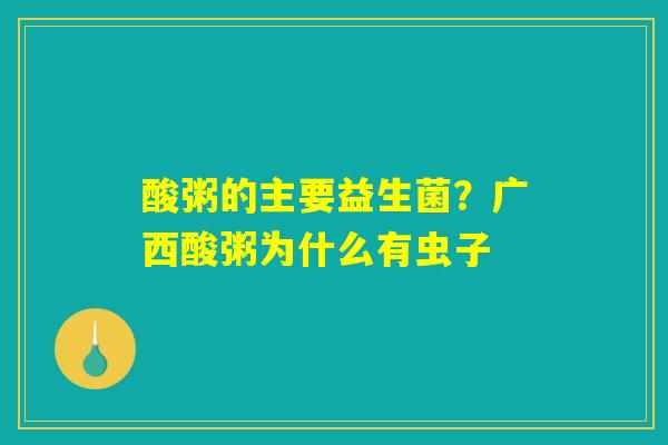 酸粥的主要益生菌？广西酸粥为什么有虫子
