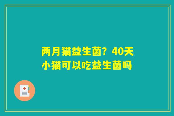 两月猫益生菌?40天小猫可以吃益生菌吗 两月猫益生菌?40天小猫可以吃益生菌吗