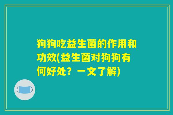 狗狗吃益生菌的作用和功效(益生菌对狗狗有何好处？一文了解)