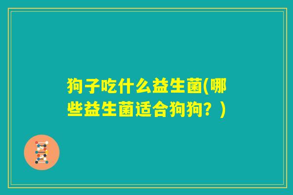 狗子吃什么益生菌(哪些益生菌适合狗狗？)