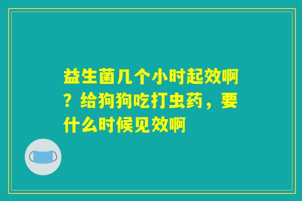 益生菌几个小时起效啊？给狗狗吃打虫药，要什么时候见效啊