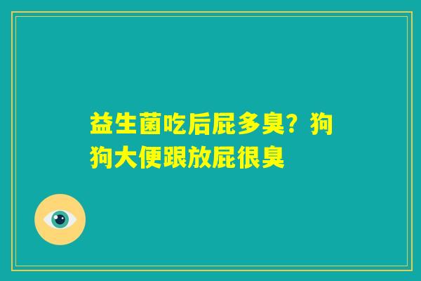 益生菌吃后屁多臭？狗狗大便跟放屁很臭