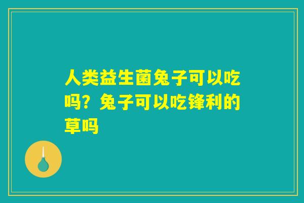 人类益生菌兔子可以吃吗?兔子可以吃锋利的草吗 人类益生菌兔子可以吃吗?兔子可以吃锋利的草吗