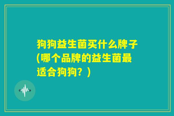 狗狗益生菌买什么牌子(哪个品牌的益生菌最适合狗狗?) 狗狗益生菌买什么牌子(哪个品牌的益生菌最适合狗狗?)