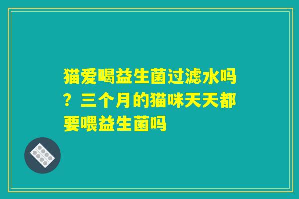 猫爱喝益生菌过滤水吗?三个月的猫咪天天都要喂益生菌吗 猫爱喝益生菌过滤水吗?三个月的猫咪天天都要喂益生菌吗