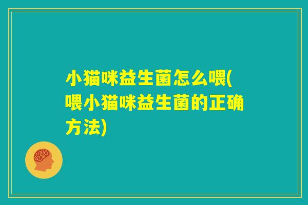 小猫咪益生菌怎么喂(喂小猫咪益生菌的正确方法)