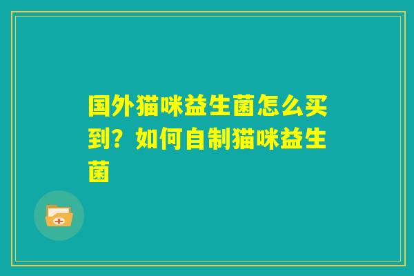 国外猫咪益生菌怎么买到？如何自制猫咪益生菌