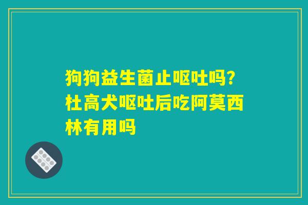 狗狗益生菌止呕吐吗？杜高犬呕吐后吃阿莫西林有用吗