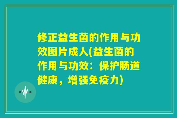 修正益生菌的作用与功效图片成人(益生菌的作用与功效：保护肠道健康，增强免疫力)