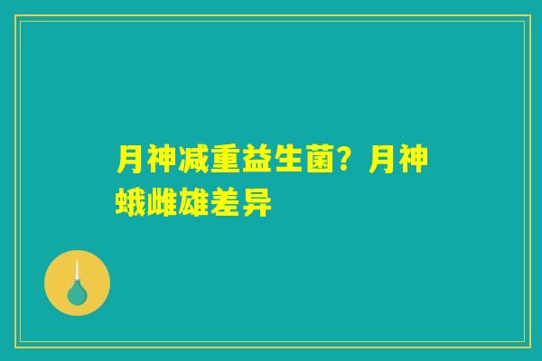 月神减重益生菌？月神蛾雌雄差异