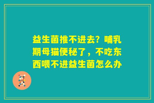 益生菌推不进去?哺乳期母猫便秘了,不吃东西喂不进益生菌怎么办 益生菌推不进去?哺乳期母猫便秘了,不吃东西喂不进益生菌怎么办