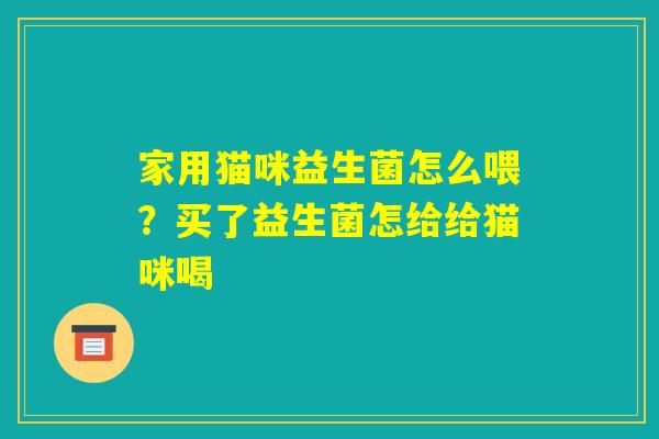 家用猫咪益生菌怎么喂？买了益生菌怎给给猫咪喝