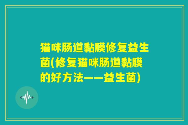 猫咪肠道黏膜修复益生菌(修复猫咪肠道黏膜的好方法——益生菌)