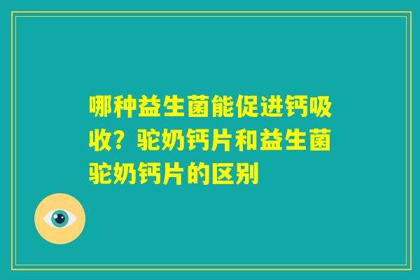 哪种益生菌能促进钙吸收？驼奶钙片和益生菌驼奶钙片的区别