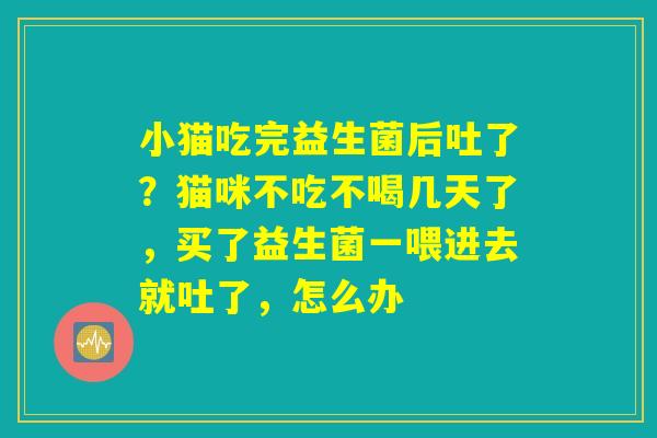 小猫吃完益生菌后吐了？猫咪不吃不喝几天了，买了益生菌一喂进去就吐了，怎么办