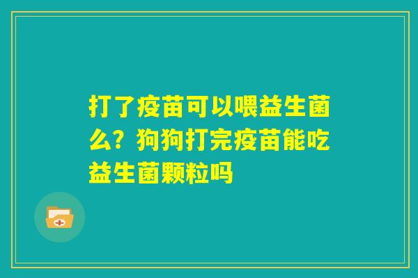 打了疫苗可以喂益生菌么？狗狗打完疫苗能吃益生菌颗粒吗