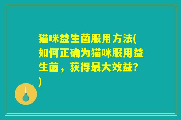 猫咪益生菌服用方法(如何正确为猫咪服用益生菌，获得最大效益？)