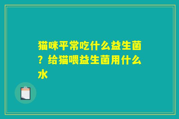 猫咪平常吃什么益生菌?给猫喂益生菌用什么水 猫咪平常吃什么益生菌?给猫喂益生菌用什么水