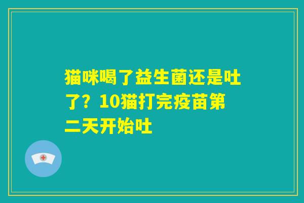 猫咪喝了益生菌还是吐了?10猫打完疫苗第二天开始吐 猫咪喝了益生菌还是吐了?10猫打完疫苗第二天开始吐