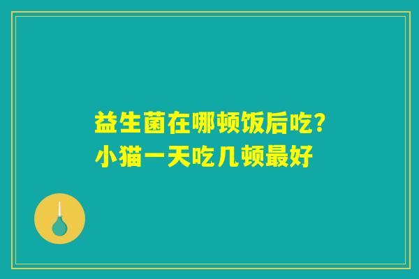 益生菌在哪顿饭后吃?小猫一天吃几顿最好 益生菌在哪顿饭后吃?小猫一天吃几顿最好