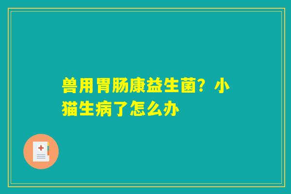 兽用胃肠康益生菌?小猫生病了怎么办 兽用胃肠康益生菌?小猫生病了怎么办