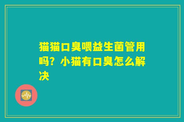 猫猫口臭喂益生菌管用吗?小猫有口臭怎么解决 猫猫口臭喂益生菌管用吗?小猫有口臭怎么解决
