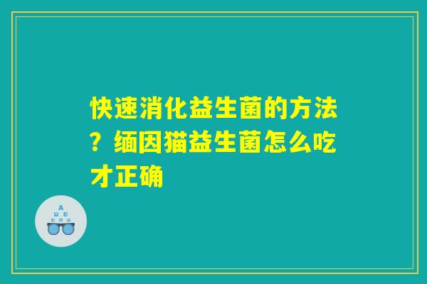 快速消化益生菌的方法？缅因猫益生菌怎么吃才正确
