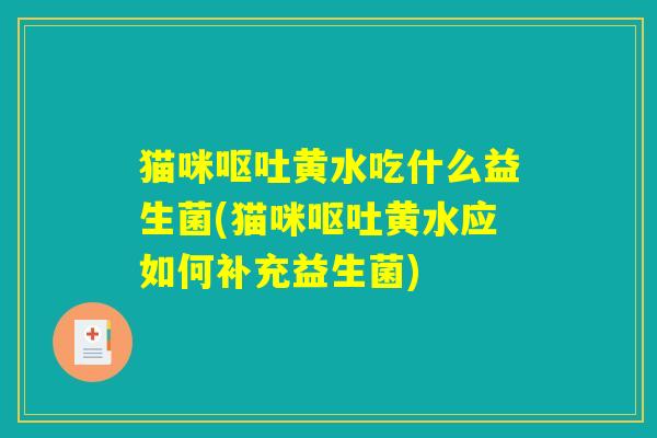 猫咪呕吐黄水吃什么益生菌(猫咪呕吐黄水应如何补充益生菌)