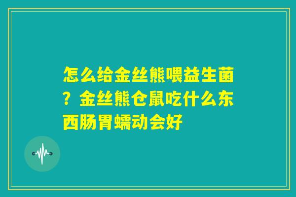 怎么给金丝熊喂益生菌?金丝熊仓鼠吃什么东西肠胃蠕动会好 怎么给金丝熊喂益生菌?金丝熊仓鼠吃什么东西肠胃蠕动会好