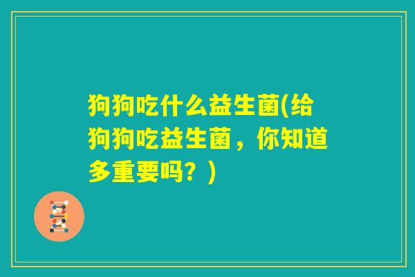 狗狗吃什么益生菌(给狗狗吃益生菌，你知道多重要吗？)