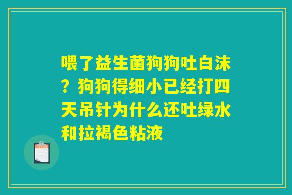 喂了益生菌狗狗吐白沫?狗狗得细小已经打四天吊针为什么还吐绿水和拉褐色粘液 喂了益生菌狗狗吐白沫?狗狗得细小已经打四天吊针为什么还吐绿水和拉褐色粘液