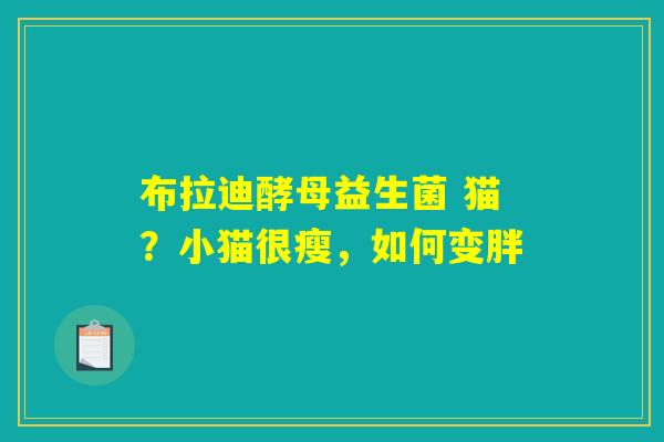 布拉迪酵母益生菌 猫?小猫很瘦,如何变胖 布拉迪酵母益生菌 猫?小猫很瘦,如何变胖