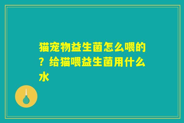 猫宠物益生菌怎么喂的？给猫喂益生菌用什么水