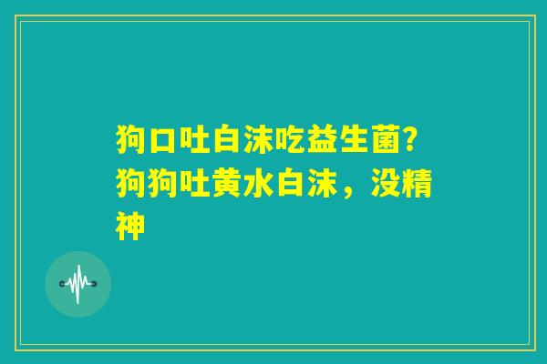 狗口吐白沫吃益生菌?狗狗吐黄水白沫,没精神 狗口吐白沫吃益生菌?狗狗吐黄水白沫,没精神