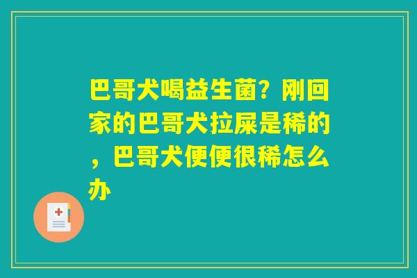 巴哥犬喝益生菌?刚回家的巴哥犬拉屎是稀的,巴哥犬便便很稀怎么办 巴哥犬喝益生菌?刚回家的巴哥犬拉屎是稀的,巴哥犬便便很稀怎么办