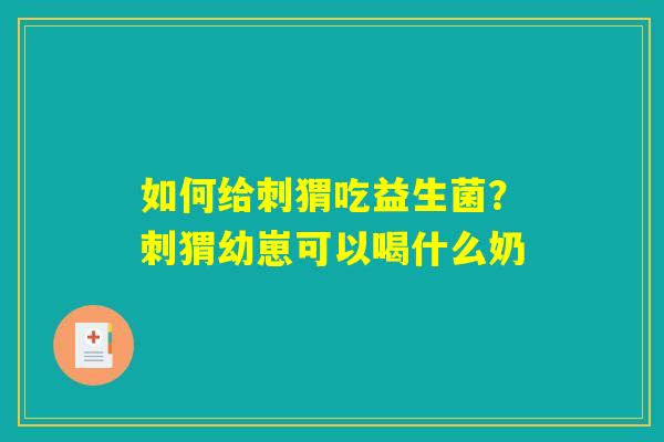 如何给刺猬吃益生菌?刺猬幼崽可以喝什么奶 如何给刺猬吃益生菌?刺猬幼崽可以喝什么奶