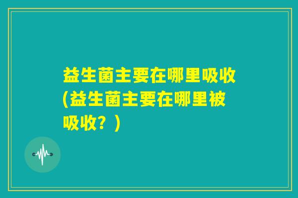 益生菌主要在哪里吸收(益生菌主要在哪里被吸收？)