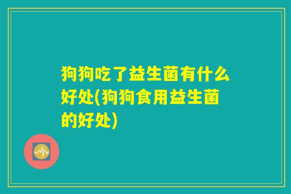 狗狗吃了益生菌有什么好处(狗狗食用益生菌的好处)