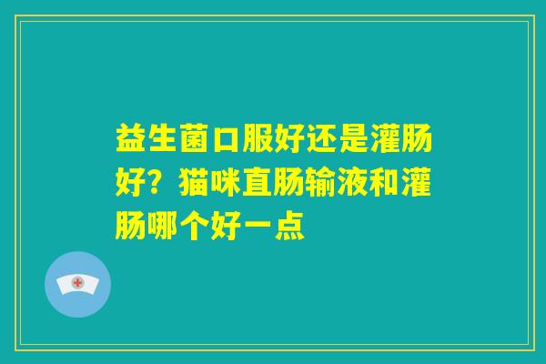 益生菌口服好还是灌肠好?猫咪直肠输液和灌肠哪个好一点 益生菌口服好还是灌肠好?猫咪直肠输液和灌肠哪个好一点