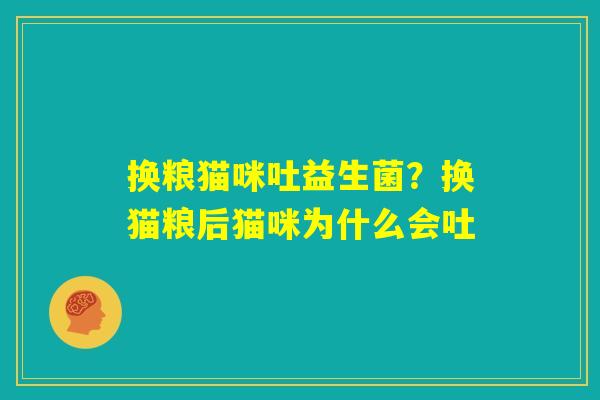 换粮猫咪吐益生菌？换猫粮后猫咪为什么会吐