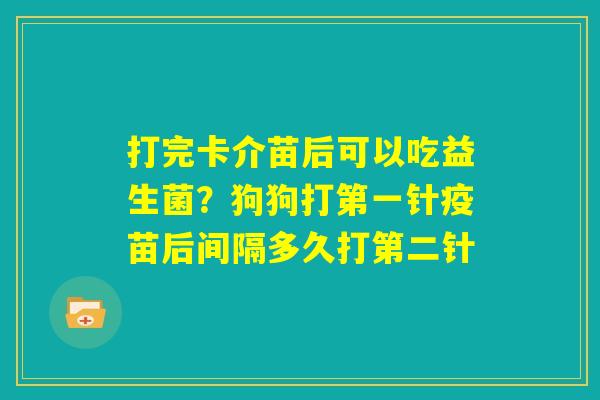 打完卡介苗后可以吃益生菌？狗狗打第一针疫苗后间隔多久打第二针