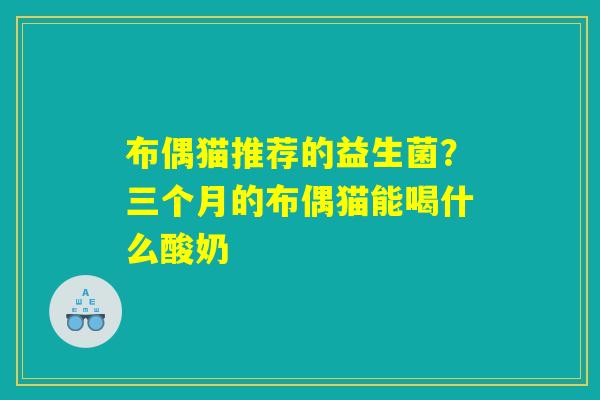 布偶猫推荐的益生菌？三个月的布偶猫能喝什么酸奶
