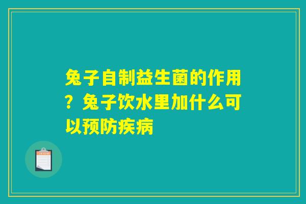 兔子自制益生菌的作用？兔子饮水里加什么可以预防疾病