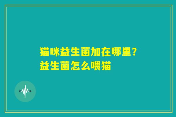 猫咪益生菌加在哪里？益生菌怎么喂猫