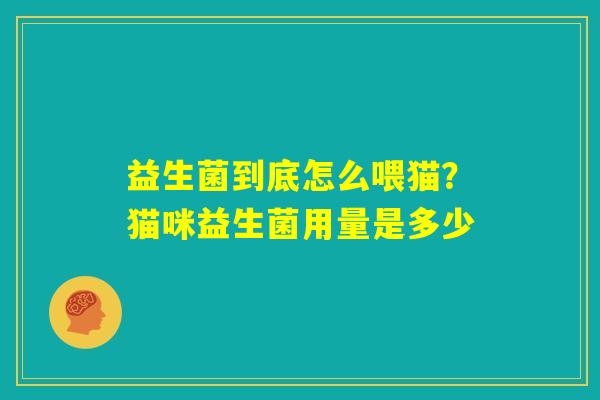 益生菌到底怎么喂猫？猫咪益生菌用量是多少