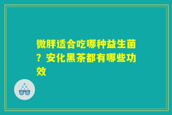 微胖适合吃哪种益生菌?安化黑茶都有哪些功效 微胖适合吃哪种益生菌?安化黑茶都有哪些功效