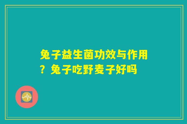 兔子益生菌功效与作用?兔子吃野麦子好吗 兔子益生菌功效与作用?兔子吃野麦子好吗